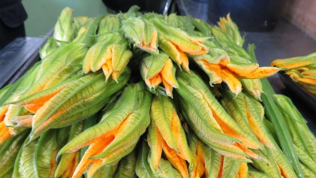 Unravel the mysteries of zucchini flowers at Frank’s Fruit Market.