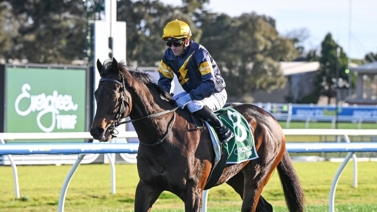 Arkansaw Kid had no luck last week in The Meteorite. Picture: Reg Ryan/Racing Photos via Getty Images