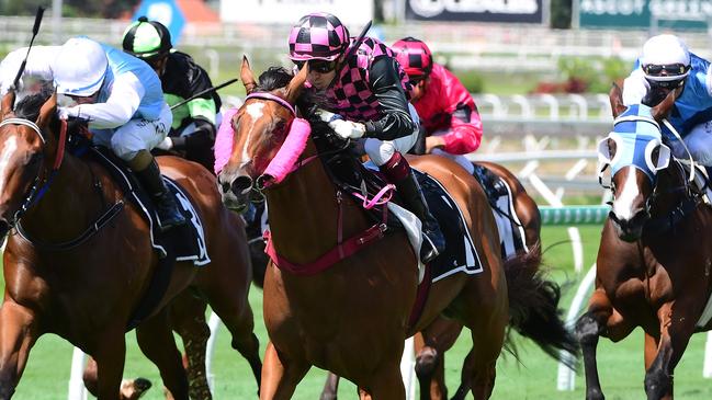 Startantes has a wide draw to overcome at Doomben. Picture: Grant Peters-Trackside Photography