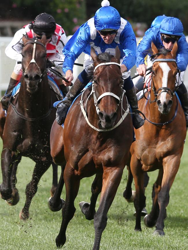 Winx won by more than eight lengths. Picture: David Crosling