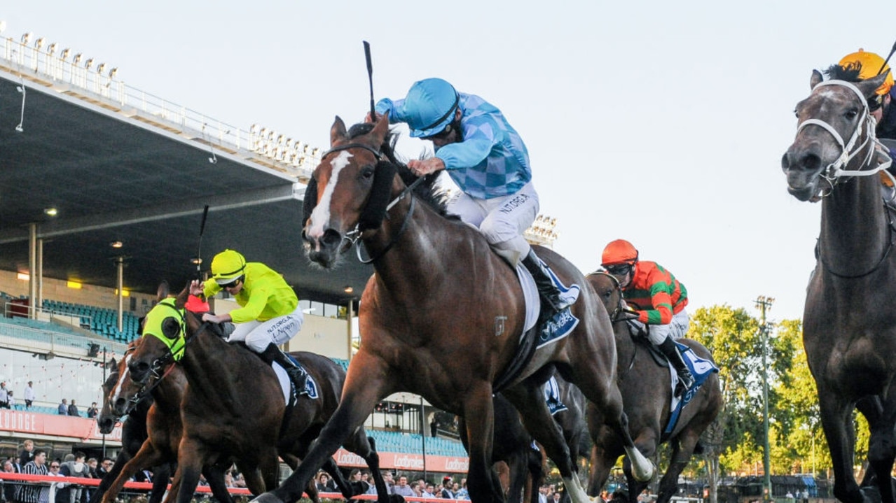 Diamondesque ridden by Luke Currie wins the Stoney's 40th Furlough Plate at Moonee Valley Racecourse on December 06, 2019 in Moonee Ponds, Australia. (Brett Holburt/Racing Photos via Getty Images)