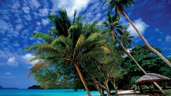 Undated : palm trees on a Vanuatu beach. Could be used as a generic photo of Fiji, Vanuatu, Samoa, Cook or Solomon Islands Picture: Supplied