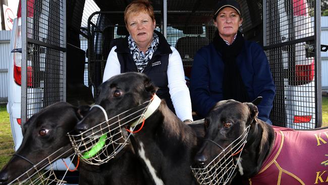 Charmaine Roberts and Ange Kilpatrick from Keeping Kennels in Dubbo at Maitland this afternoon. Picture by Peter Lorimer.