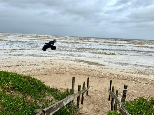 Old Bar beach near Taree on Tuesday afternoon. Picture: Facebook / Michael Davis