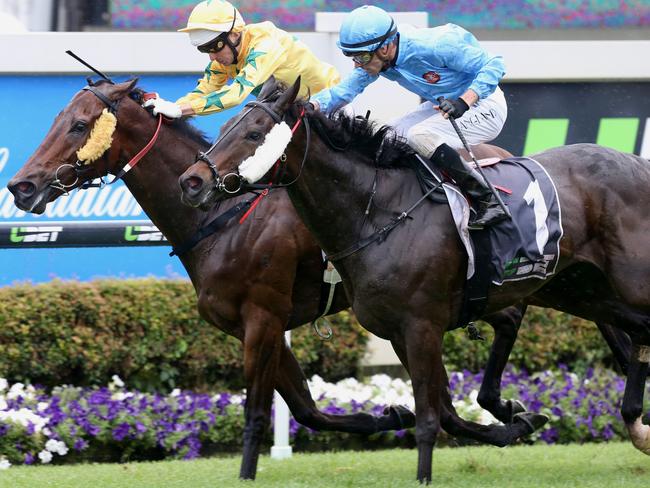 Races a Doomben. Winner race 3, number 6, Mister Booze, (left on inside) Jockey Brad Stewart. Pic Jono Searle.