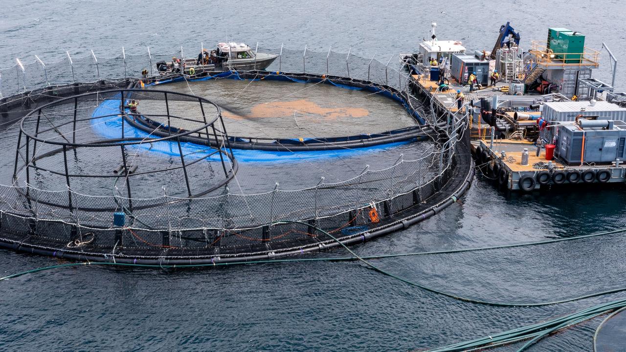 Aerial view Tassal fish farm pens/ salmon farming pens at Long Bay, Tasman Peninsula. Pic: Supplied.