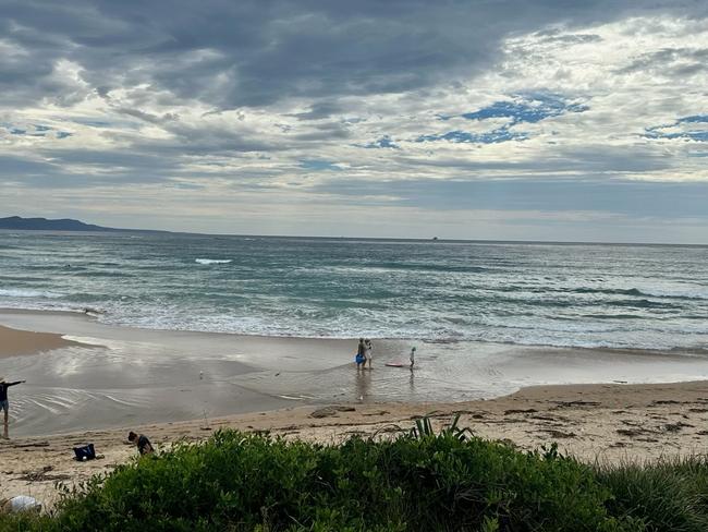 Just north of Wollongong at Stanwell Park dozens of people were evacuated from the water after lifeguards spotted a shark cruising near the shore. Picture: SLSA