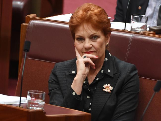 Pauline Hanson has been elected to the Senate, and Campbell Newman believes her One Nation party is just getting started.