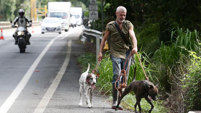 Kuranda local Damian Kingston walks his dogs Thoureau and Ned across the bridge close to the traffic. Picture: Brendan Radke