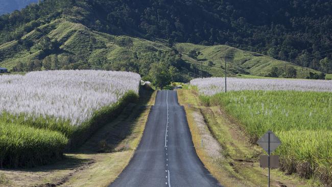 Mackay-Eungella Rd connects the Peak Downs Highway near the Mackay city to the Pioneer Valley. The Pioneer-Burdekin pumped hydro project is proposed to be built towards the top end of the valley. Photo Contributed