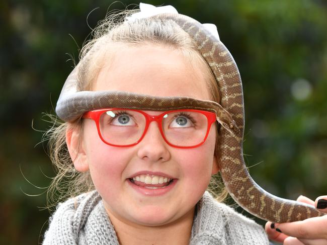 Alice Milne 10 loses her fear of snakes after this close encounter with a Stimson's python at Warrawong Sanctuary on Saturday. Picture: AAP/Mark Brake