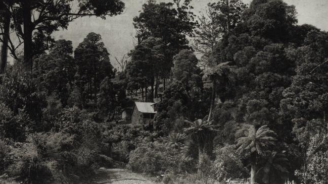 An undated photo of Rostrevor.