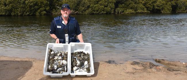 PIRSA Fisheries officer Dale McKerlie with the undersized crabs found on September 23. Picture: Supplied