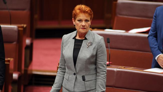 One Nation Leader Pauline Hanson. Picture: Gary Ramage.