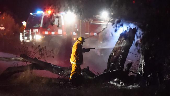 Hundreds of trees were damaged by fire at Brookland Green Reserve. Picture: Lawrence Pinder