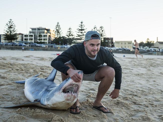 Locals posed with the dead shark. Picture: Jenny Evans