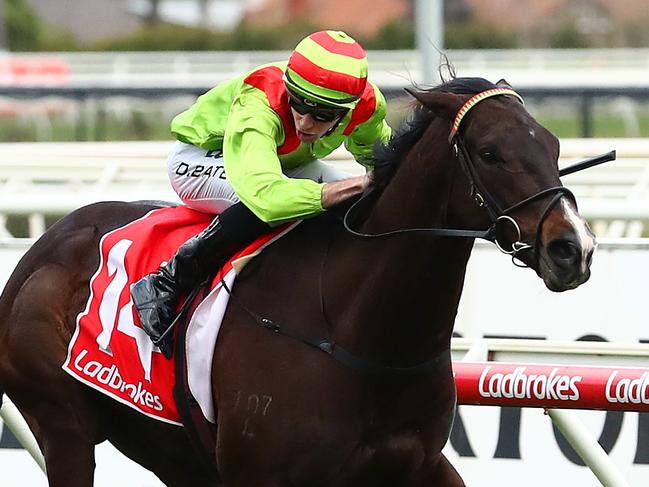 MELBOURNE, AUSTRALIA - SEPTEMBER 21: Begood Toya Mother ridden by  Declan Bates and trained by Daniel Bowman wins race 7 the Ladbrokes Sir Rupert Clarke Stakes during Sir Rupert Clarke Stakes Day at Caulfield Racecourse on September 21, 2019 in Melbourne, Australia. (Photo by Kelly Defina/Getty Images)