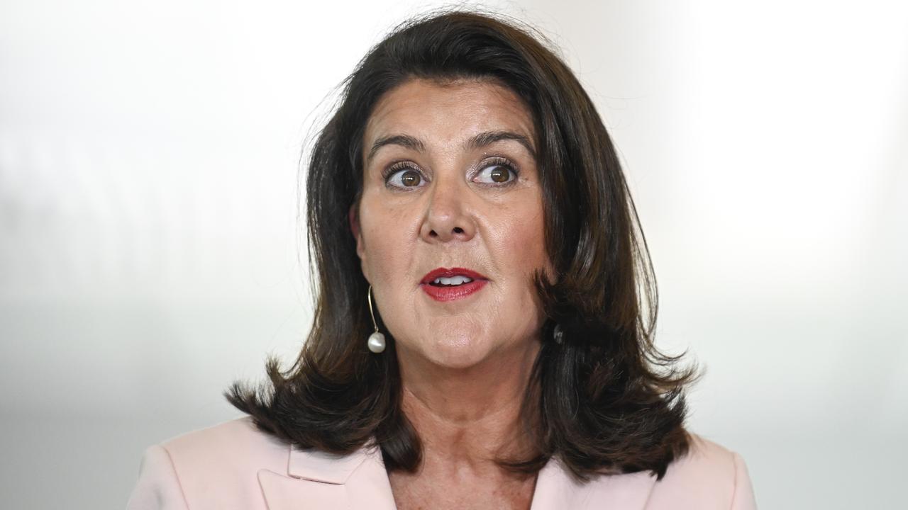 Liberal Senator Jane Hume holds a press conference at Parliament House in Canberra. NewsWire / Martin Ollman