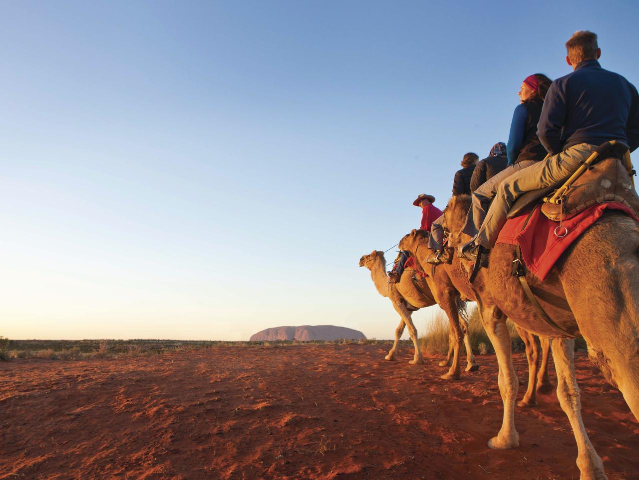 wildlife tour uluru