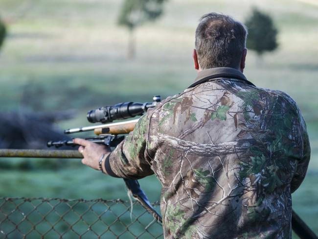 Brett Conibear, Albury, NSW, harvests deer on the Webb brothers' property near Tallangatta.Picture: DANNIKA BONSER