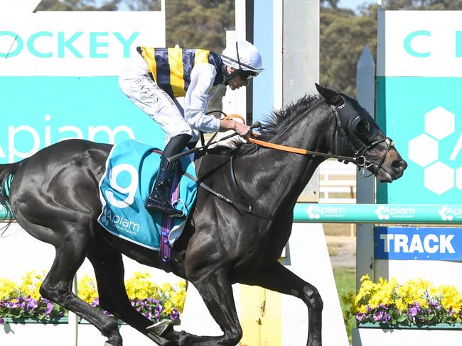 Sea King (GB) ridden by Declan Bates wins the Apiam Bendigo Cup at Bendigo Racecourse on October 30, 2024 in Bendigo, Australia. (Photo by Brett Holburt/Racing Photos via Getty Images)