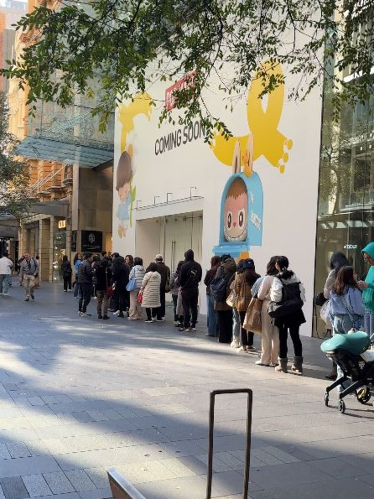 Security guards were on hand to ensure good behaviour. Picture: Stephen Alpe