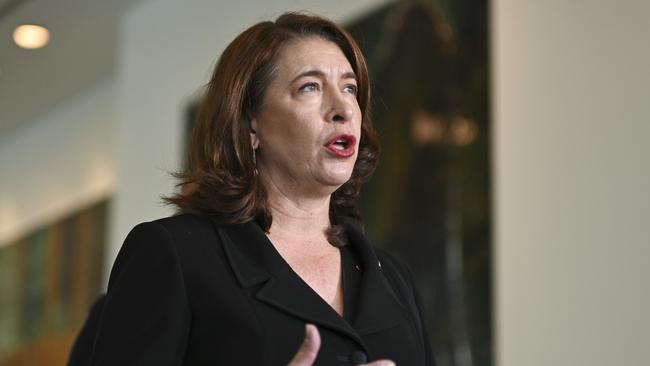 Opposition resources spokeswoman Senator Susan McDonald says she will work to remove obstacles to proposed resource developments Picture: NewsWire / Martin Ollman