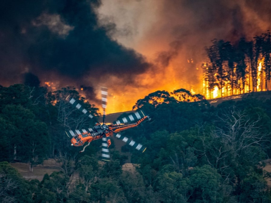 Beauty mogul under fire about Australia wildfire posts