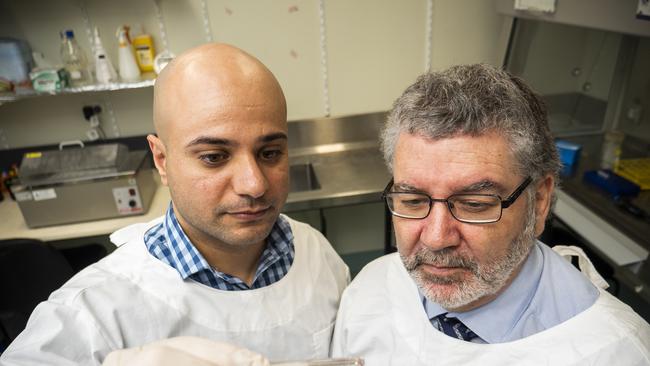 Griffith University researchers Dr Luqman Jabair and Professor Nigel McMillan, who have “cured" cervical cancer in mice using gene-editing technology.