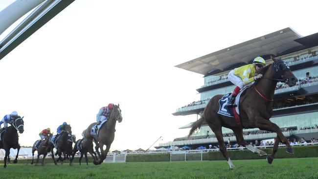 Criterion being ridden by Craig Williams.
