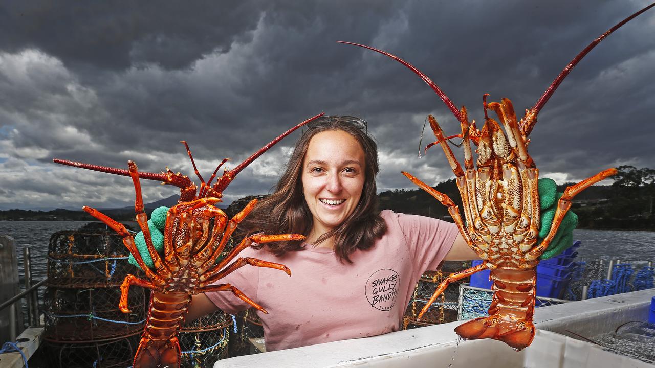 Bush Summit: New Hope For $50m Tassie Live Lobster Exports To China ...