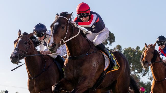 Air Assault wins the Balaklava Cup earlier this month. Picture: Makoto Kaneko