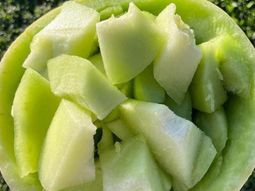 The Queensland farm grows several melon varieties. Picture: Instagram