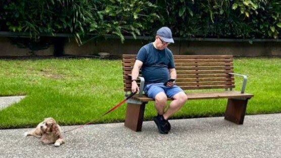 Alan Joyce takes his dog for a walk in Sydney. Picture: 2GB