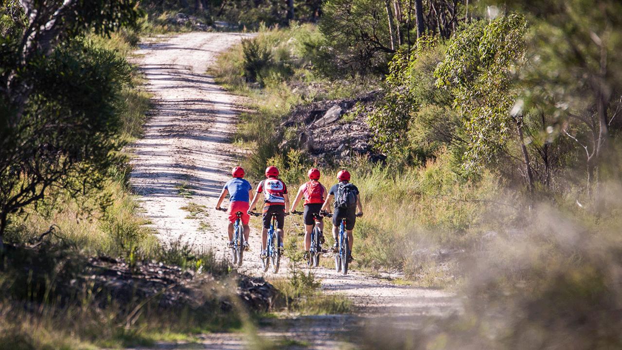 Bike riding in the Blue Mountains. Source: Blue Mountains Bikes