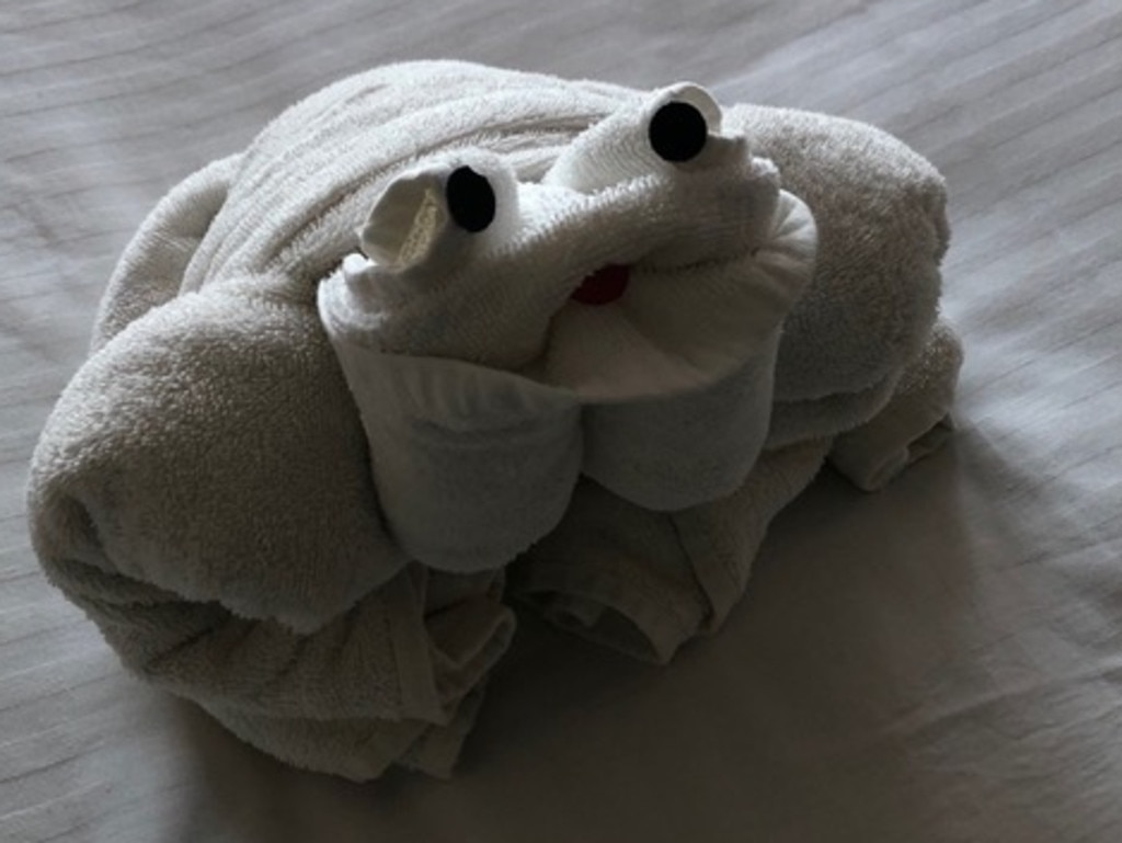 carnival cruise towel animals