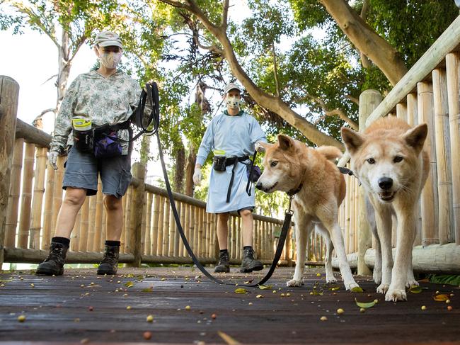 Perth Zoo is set to reopen. Picture: Getty Images