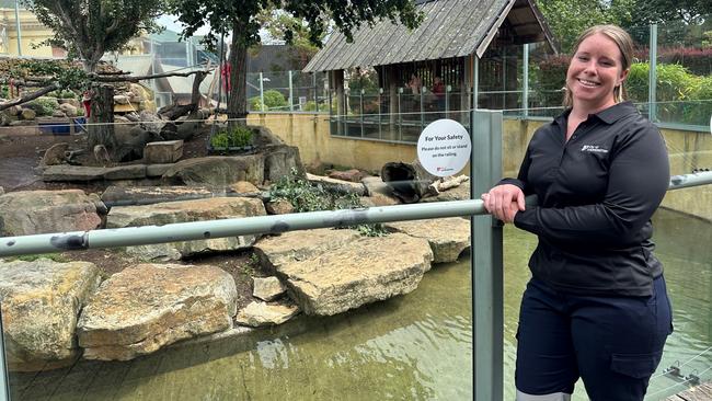 City of Launceston Primate Keeper Bridie Slattery at City Park. Picture: City of Launceston