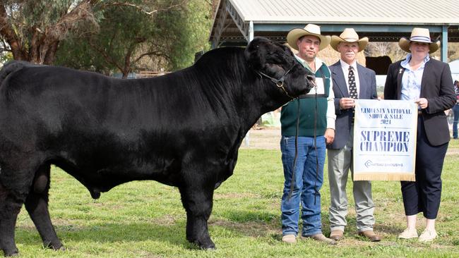 Patrick Halloran with Supreme of the show Bushpark Trick Star T7, with Judge Robert Hutchinson and associate judge Emily Polsen at the Limousin National Show and Sale at Holbrook,  NSW.