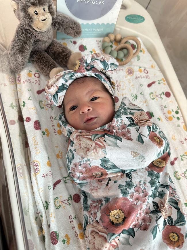 Gisella. Two weeks old. Gisella only just born, loving her facial expressions already