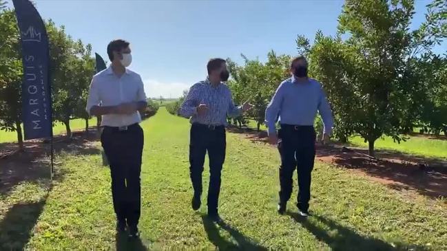 Bundaberg's Marquis Macadamias facility will undergo a $13.3 million expansion to grow their processing capacity