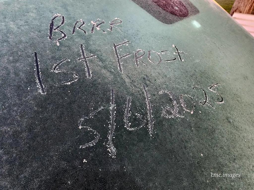 The first frost of the year at Boodua, near Toowoomba. Picture: Charmaine Campbell/CMC Images
