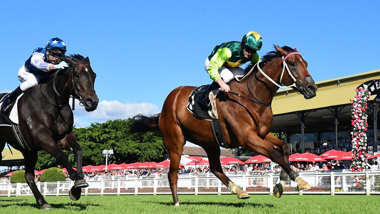 Brave win puts Yellow Brick on road to Stradbroke