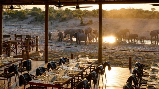 Dinner and a show at Savute Safari Lodge, Botswana. Photo: Supplied