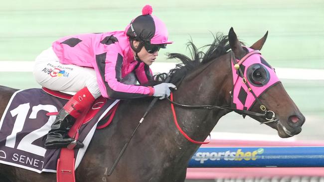 Leading Australian jockey Craig Williams will ride the Tony Gollan-trained Comrade Rosa in The Archer at Callaghan Park on Sunday. (Photo by Scott Barbour/Racing Photos via Getty Images)