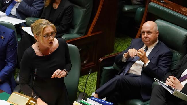 Victorian Premier Jacinta Allan and Victorian Treasurer Tim Pallas in parliament Picture: NCA NewsWire / Luis Enrique Ascui