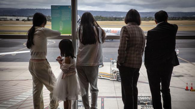 All 12 of Friday’s scheduled flights from Adelaide to Brisbane have been cancelled as well as the services to the Gold Coast. Picture: Emma Brasier