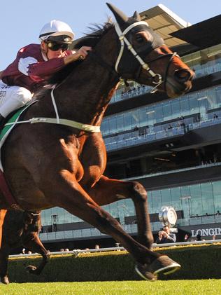 Horse Racing News and Thoroughbreds | Daily Telegraph