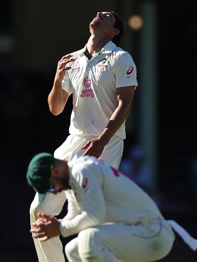 Starc reacts after Tim Paine dropped a catch off Hanuma Vihari.