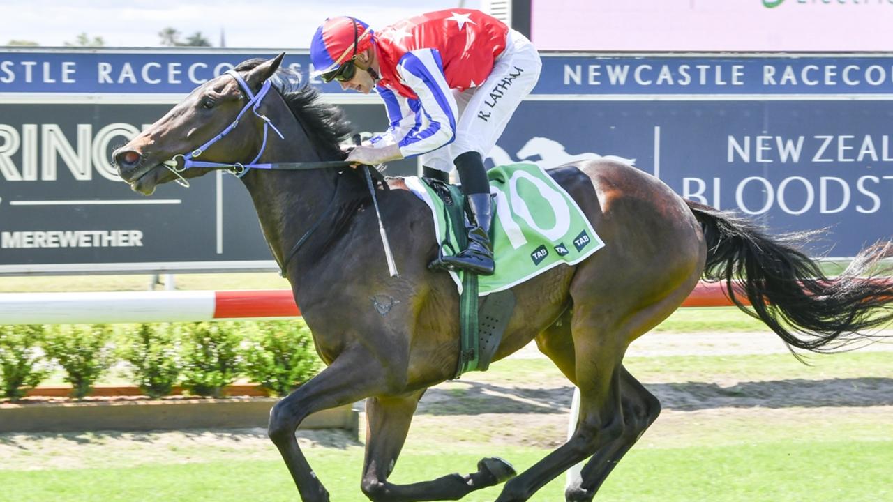 Consistent gelding War Ribbon can kick off his campaign with a win at Wyong. Picture: Bradley Photos